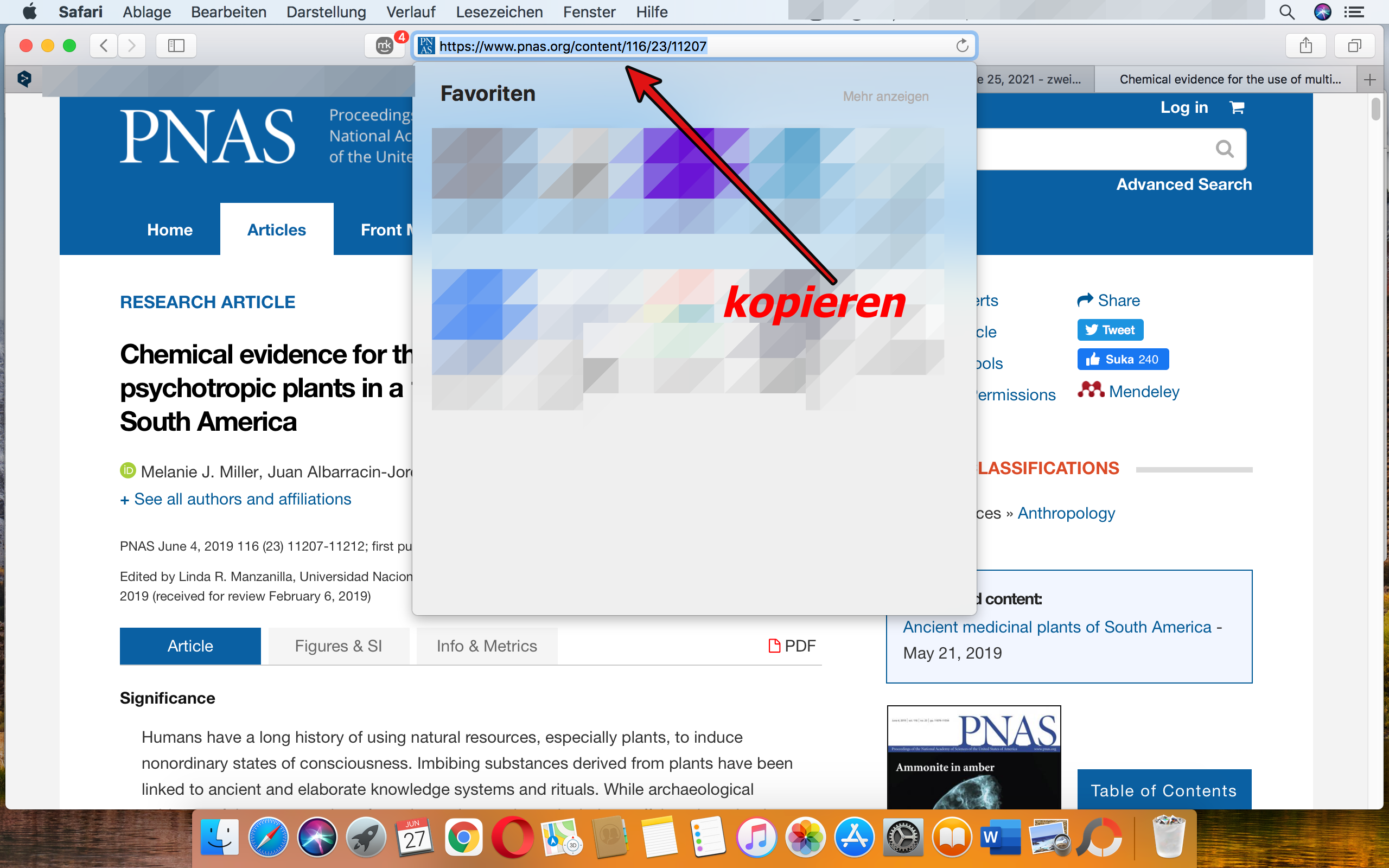 englische Beiträge  übersetzen