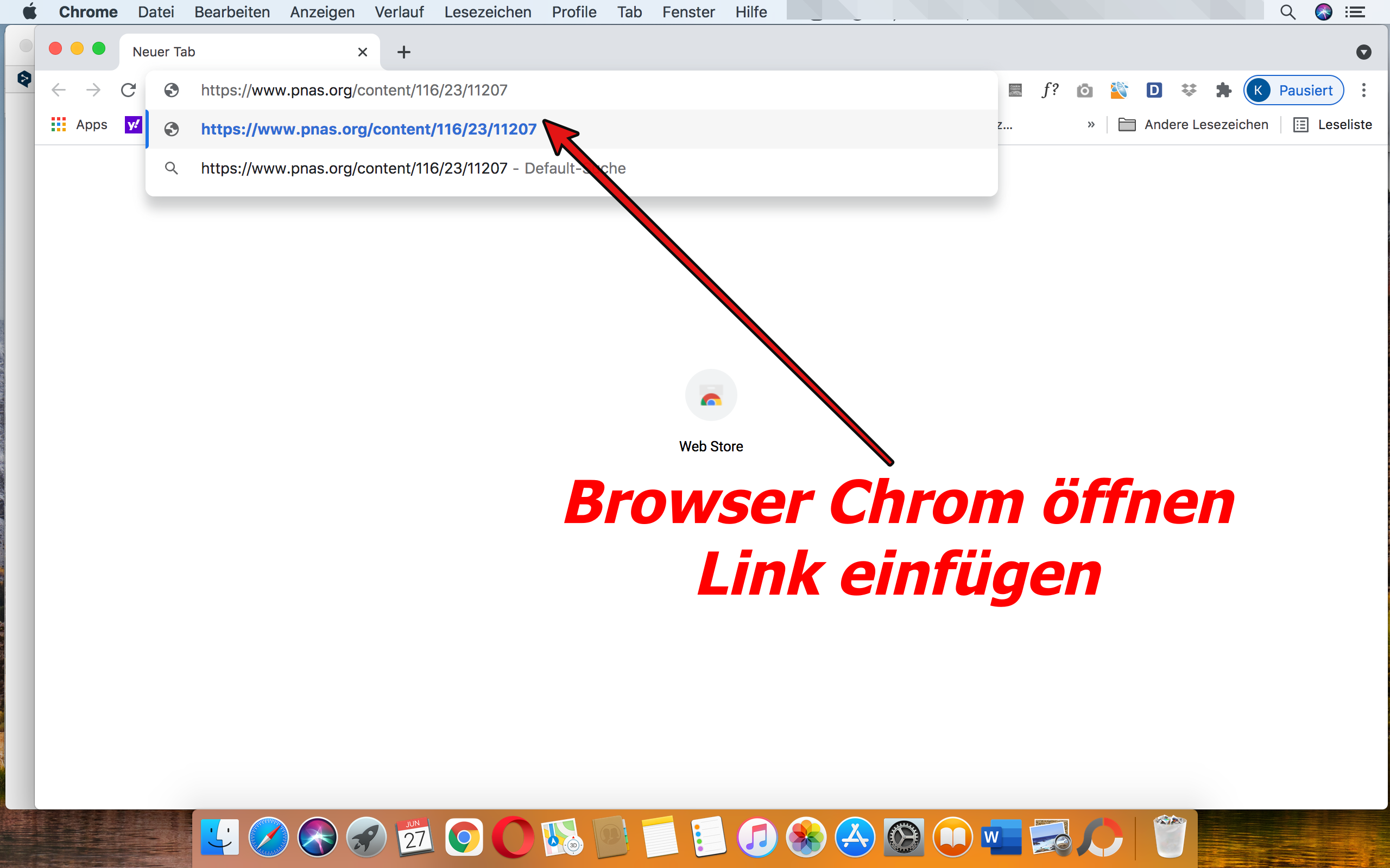 englische Beiträge  übersetzen