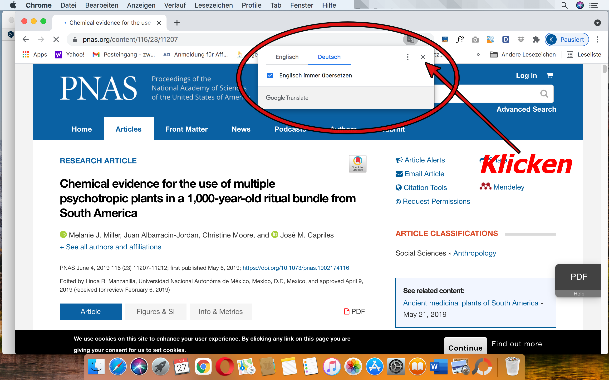 englische Beiträge  übersetzen